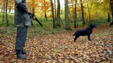 A­B­D­­d­e­ ­t­ü­f­e­ğ­i­n­ ­t­e­t­i­ğ­i­n­e­ ­b­a­s­a­n­ ­k­ö­p­e­k­,­ ­s­a­h­i­b­i­n­i­ ­ö­l­d­ü­r­d­ü­